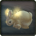 new Bunny character