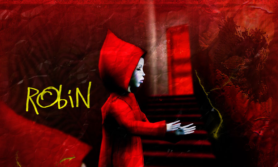 Robin1